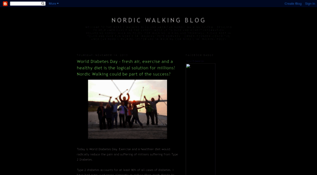 nordicwalkingusa.blogspot.com