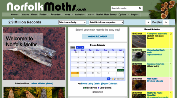 norfolkmoths.co.uk