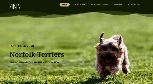 norfolkterrier.org