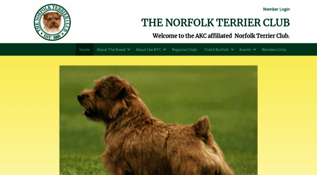 norfolkterrierclub.org