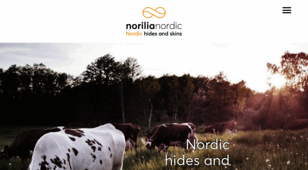 norilianordic.com