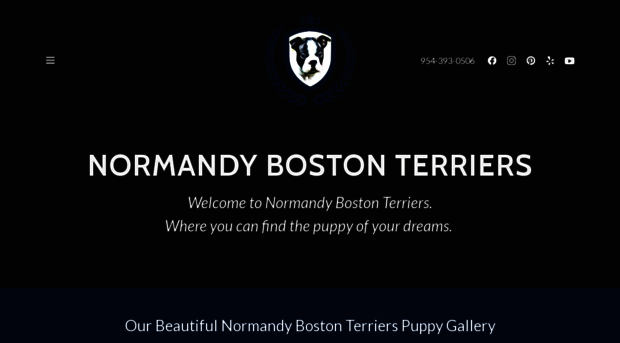 normandybostonterriers.com