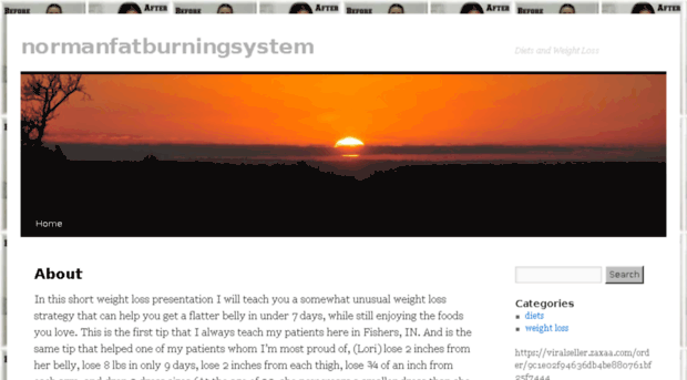 normanfatburningsystem.com