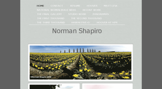 normanshapiro.com