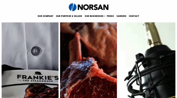 norsan.net