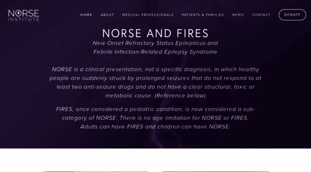 norseinstitute.org