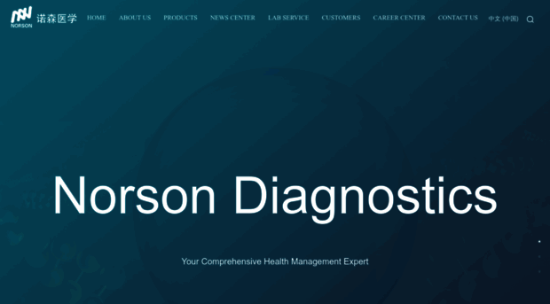 norsonmed.com