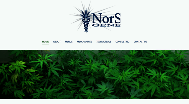 norstargenetics.com