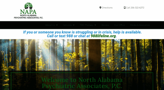 northalabamapsych.com