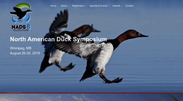 northamericanducksymposium.org