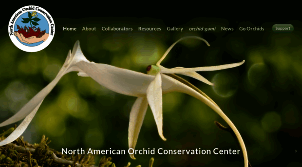 northamericanorchidcenter.org