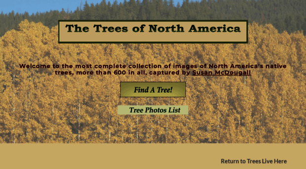 northamericantrees.com