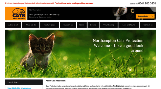 northampton.cats.org.uk
