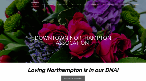 northamptondna.com