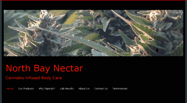 northbaynectar.com