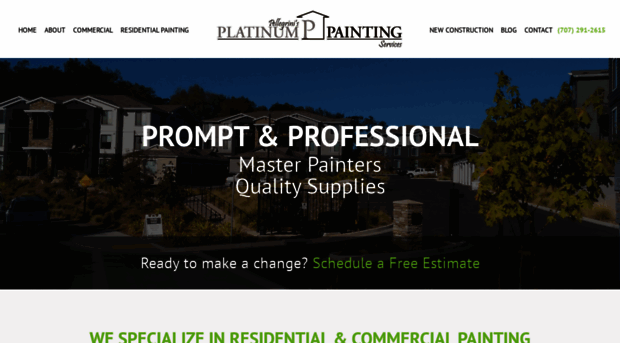 northbayplatinumpainting.com