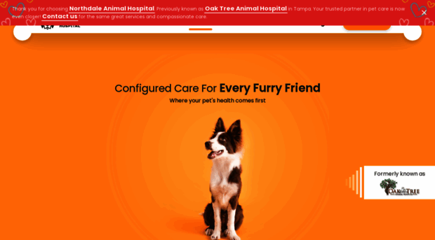 northdaleanimalhospital.com