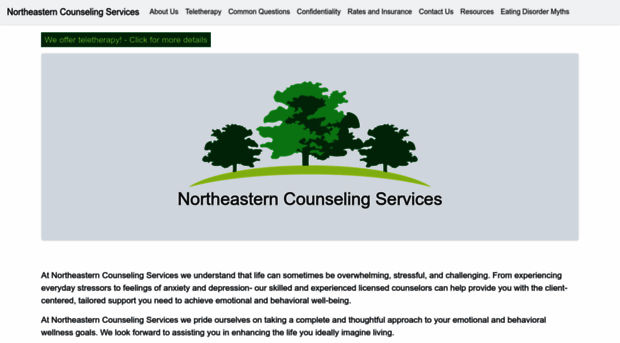 northeasterncs.com