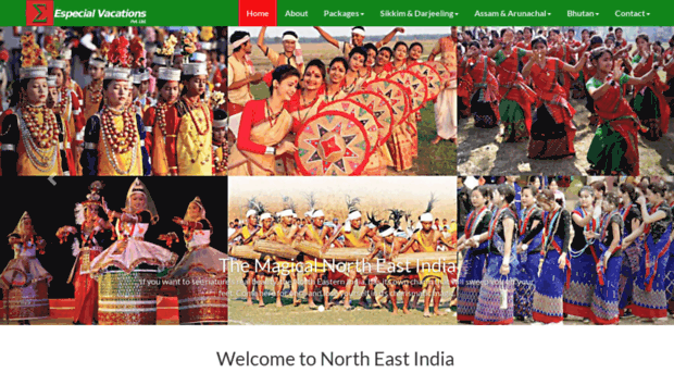 northeastindiatourpackages.in