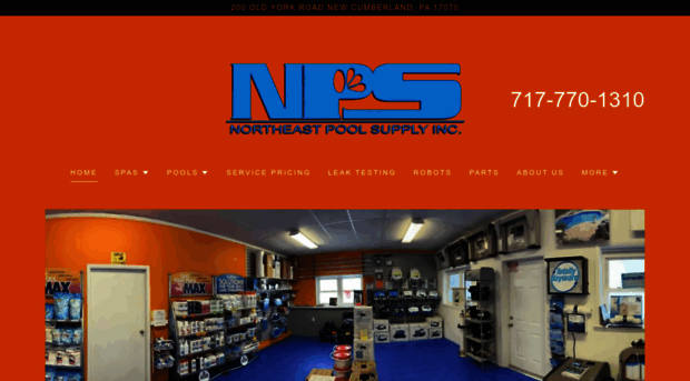 northeastpoolsupply.net