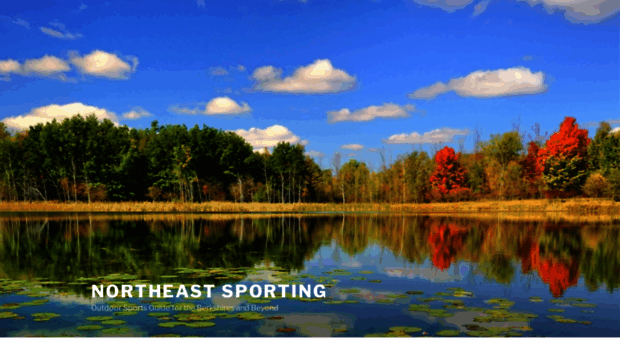 northeastsporting.com