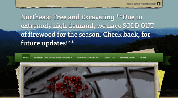 northeasttreeandexcavating.com