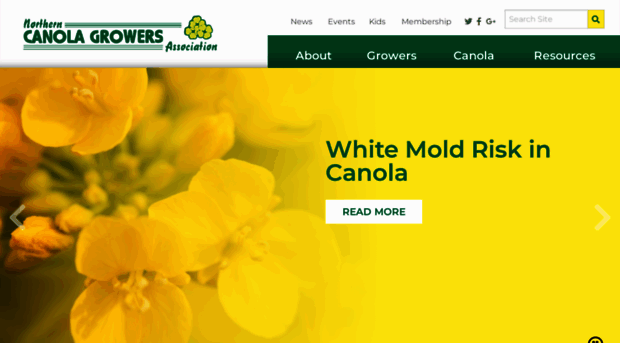 northerncanola.com