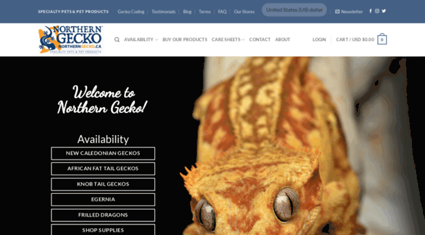 northerngecko.ca