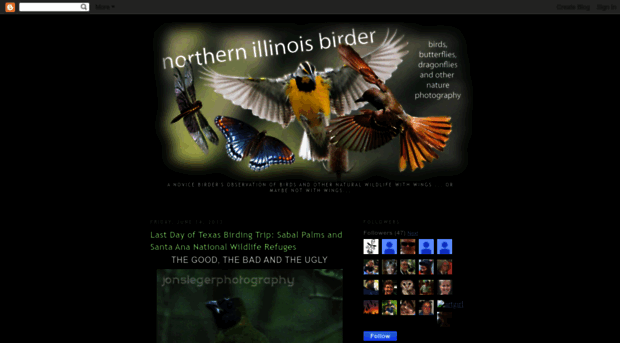 northernillinoisbirder.blogspot.com