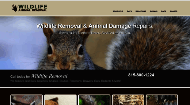 northernilwildliferemoval.com