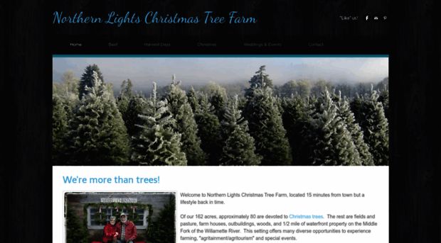 northernlightschristmastreefarm.com