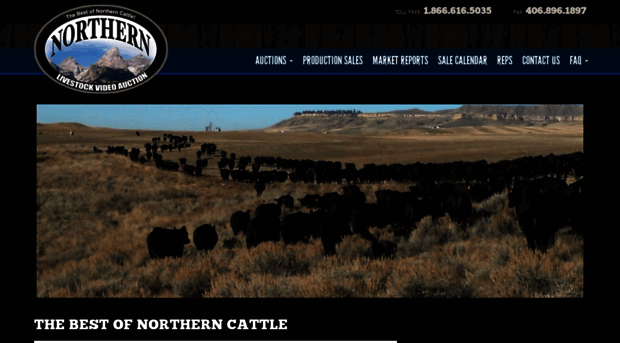 northernlivestockvideo.com