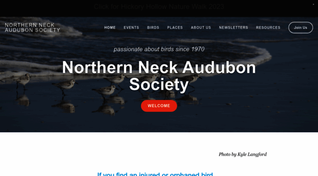 northernneckaudubon.squarespace.com