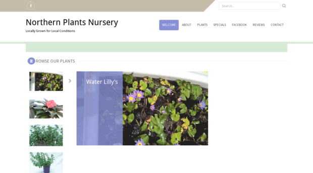 northernplants.com.au