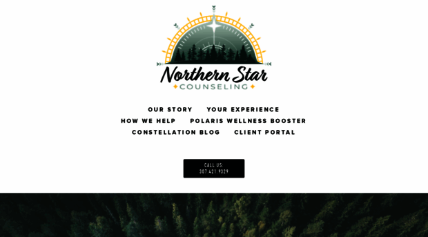 northernstarcounseling.com