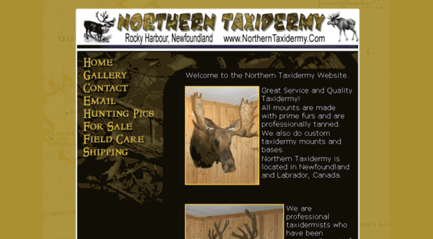 northerntaxidermy.com