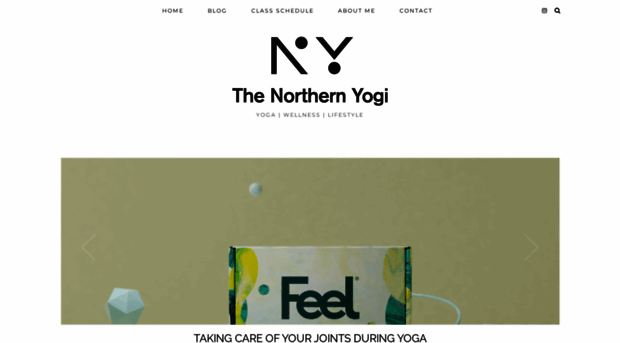 northernyogi.com