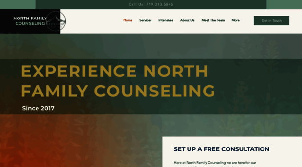 northfamilycounseling.com