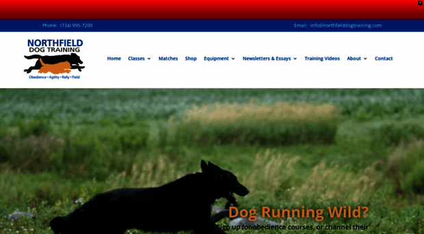 northfielddogtraining.com