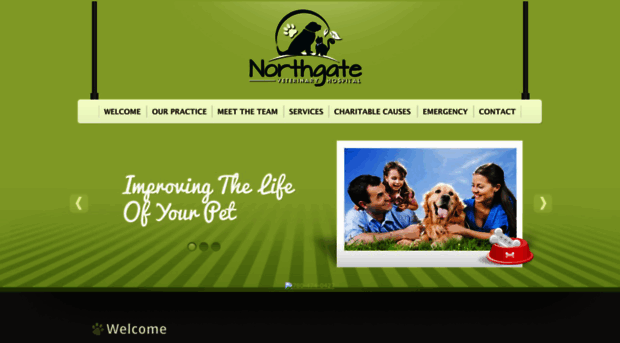 northgatevethospital.com