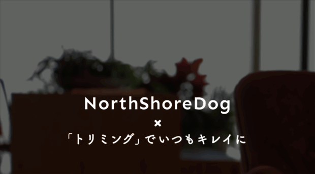 northshoredog.com