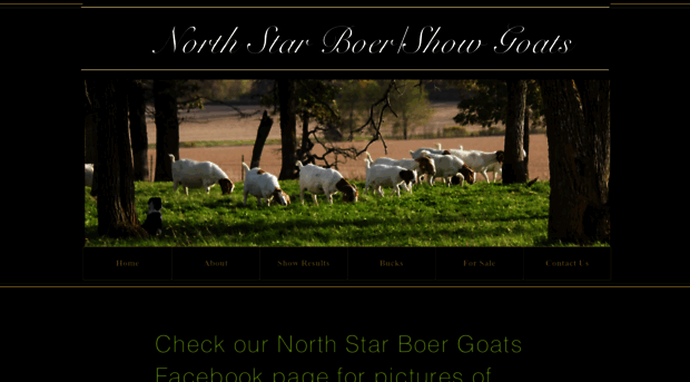 northstarboergoats.com