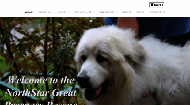 northstargreatpyrs.com