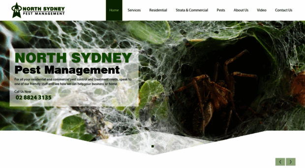 northsydneypestmanagement.com.au