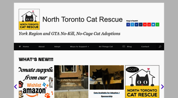 northtorontocatrescue.com