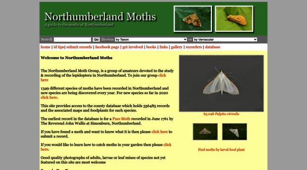 northumberlandmoths.org.uk