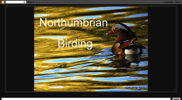 northumbrianbirding.blogspot.com