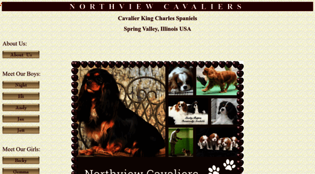 northviewcavaliers.com