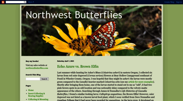 northwestbutterflies.blogspot.com