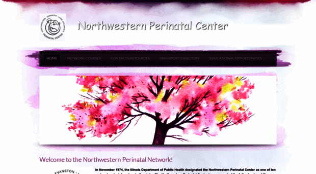 northwesternperinatalcenter.weebly.com